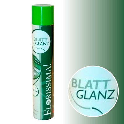 SPRAY FLORISSIMA BLATTGLANZ