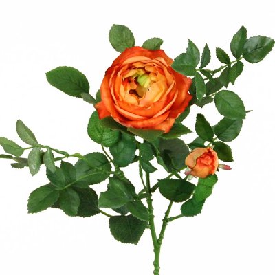 ROSEN BAUERNROSE AM PICK L45CM