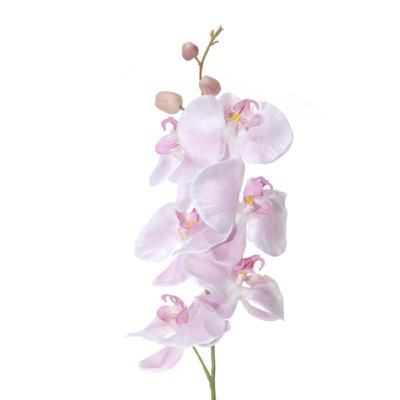 SEIDE ORCHIDEE MIT BLATT L