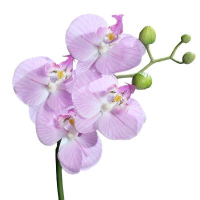 SEIDE ORCHIDEE NATURELL L 46CM