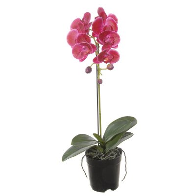 SEIDE ORCHIDEE MIT BLATT L