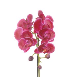 SEIDE ORCHIDEE MIT BLATT L