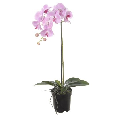 SEIDE ORCHIDEE MIT BLATT L