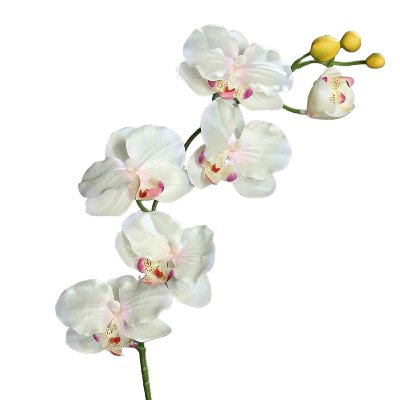 SEIDE ORCHIDEE L 72CM PINK,