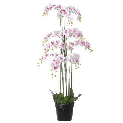 SEIDE ORCHIDEE IM TOPF H 152CM