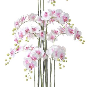 SEIDE ORCHIDEE IM TOPF H 152CM