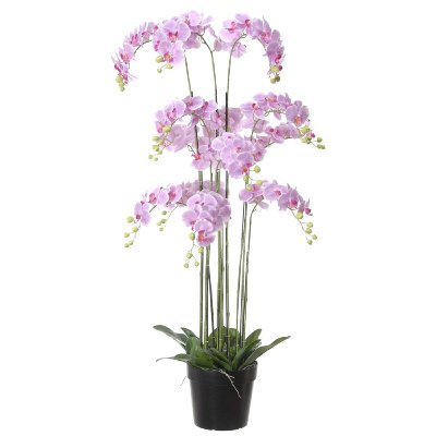 SEIDE ORCHIDEE IM TOPF H 152CM