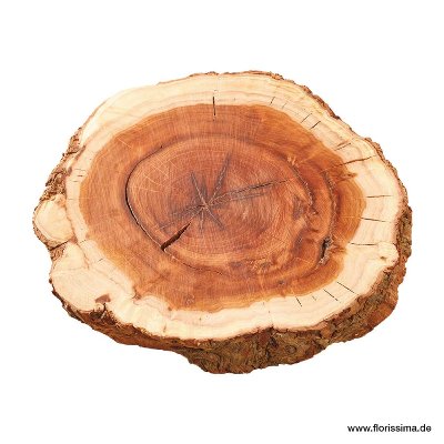 HOLZ SCHEIBE 24CM NATUR