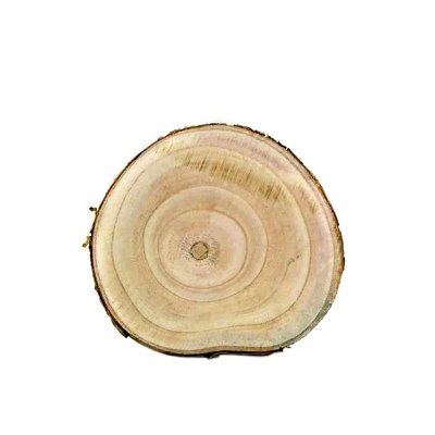 HOLZ SCHEIBE RUND Ø14,5CM