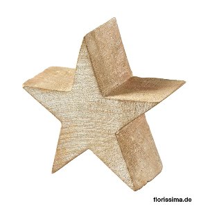 HOLZ STERN ZUM STEHEN ODER