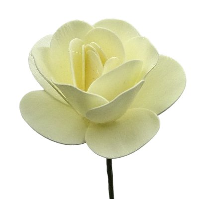 HOLZ ROSE 6CM CREME