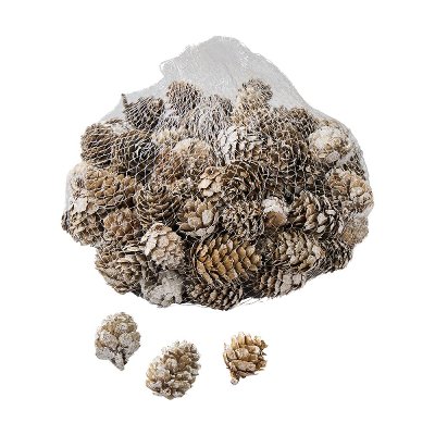 NATUR LARIX PINE CONE 300G 3CM WEIß