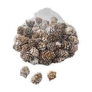 NATUR LARIX PINE CONE 300G 3CM WEIß