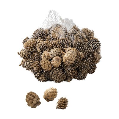 NATUR LARIX PINE CONE 300G