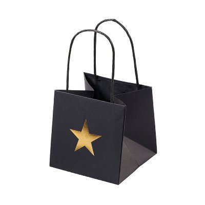 PAPIER GESCHENKTASCHE STERN