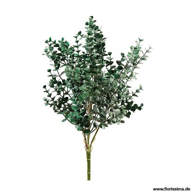 KUNST EUKALYPTHUS PICK L38CM