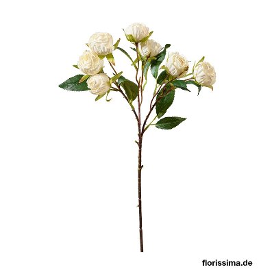 SEIDE ROSENZWEIG 7 BLÜTEN