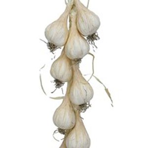 KUNST KNOBLAUCH ZUM HÄNGEN