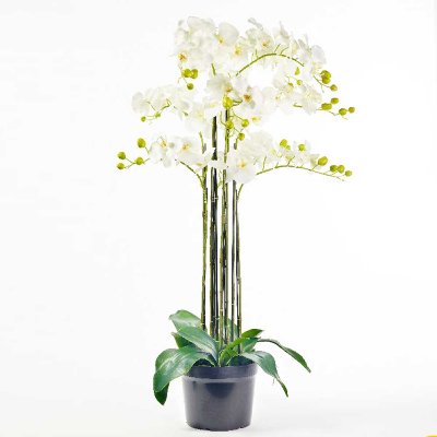 SEIDE ORCHIDEE 9 STIELE MIT