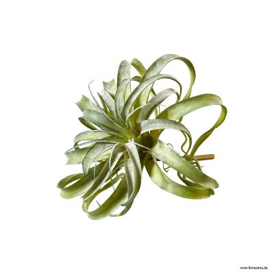 KUNST TILLANDSIA PICK L30CM