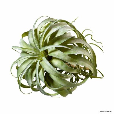 KUNST TILLANDSIA PICK L40CM