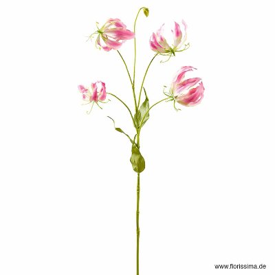 SEIDE GLORIOSA X4 L 86CM PINK