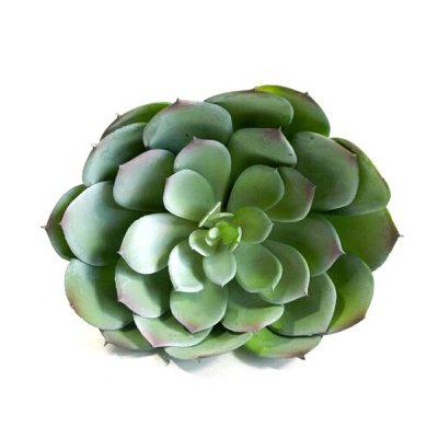 KUNST ECHEVERIA Ø 20CM GRÜN