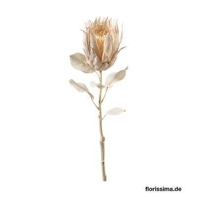 KUNST PROTEA MIT BLATT