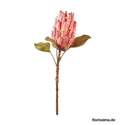 SEIDE PROTEA MIT BLATT