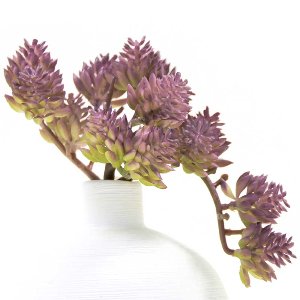 KUNST SEDUM PICK L 11CM