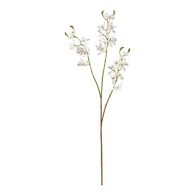 SEIDE ORCHIDEE L 72CM CREME