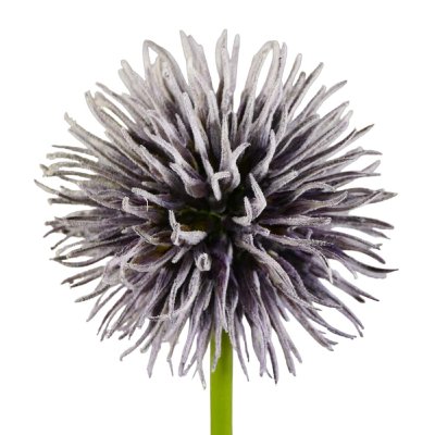 SEIDE ALLIUM L 51CM PURPLE