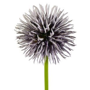 SEIDE ALLIUM L 51CM PURPLE