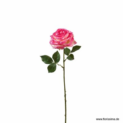 SEIDE ROSE MIT BLATT L 66CM