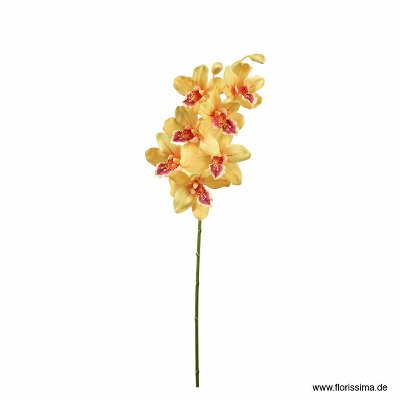 SEIDE ORCHIDEE CYMBIDIUM L