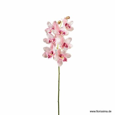 SEIDE ORCHIDEE CYMBIDIUM L