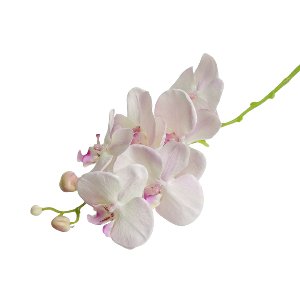KUNST ORCHIDEE UNCOATED L 61CM