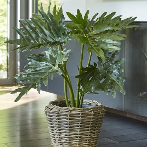 KUNST PHILODENDRON IM TOPF