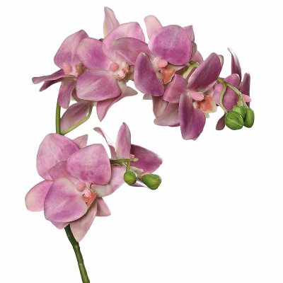 SEIDE ORCHIDEE L 83CM LAVENDEL