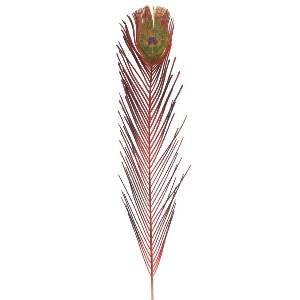 KUNST PFAUENFEDER L 102CM ROT