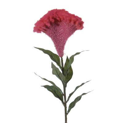 SEIDE CELOSIA L 68CM BEAUTY