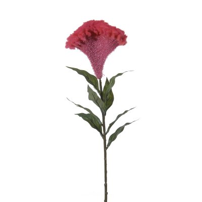 SEIDE CELOSIA L 68CM BEAUTY