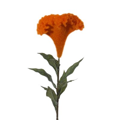 SEIDE CELOSIA L 68CM ORANGE