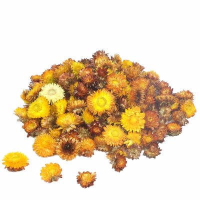 NATUR HELICHRYSUM STROHBLUMEN