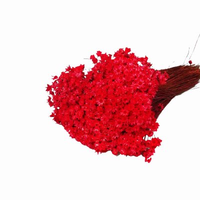 NATUR GLIXIA 100G ROT 10P