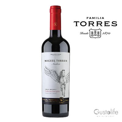 WEIN MIGUEL TORRES ANDICA