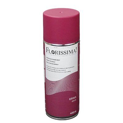 OASIS FARBSPRAY FLORISSIMA