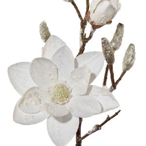 KUNST MAGNOLIE MIT SCHNEE L