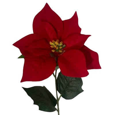 SEIDE POINSETTIA L 61CM ROT