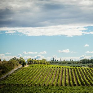 LES COLLINES DU BOURDIC CHEMIN